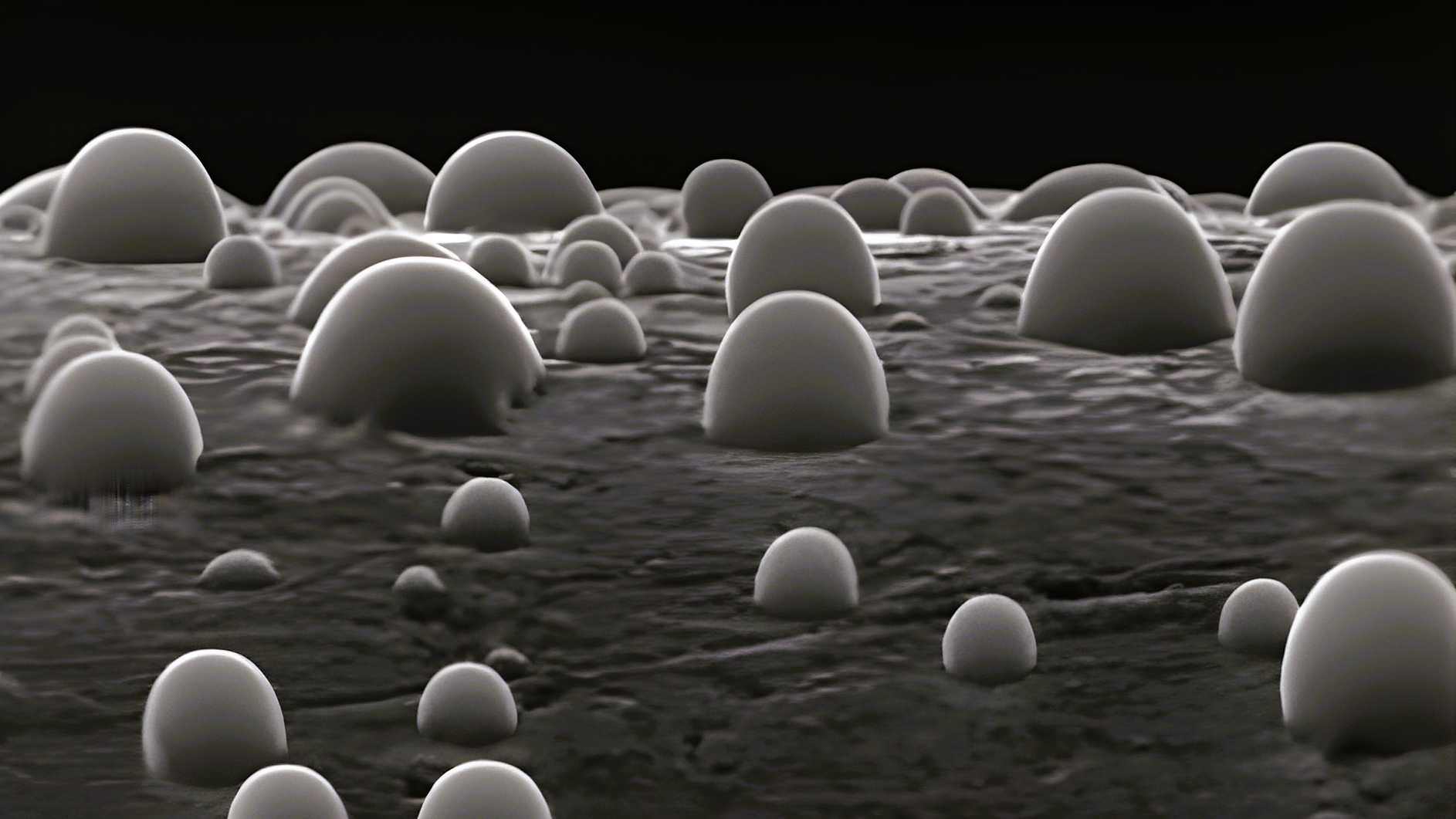 Microscopia elettronica a scansione ambientale (ESEM)