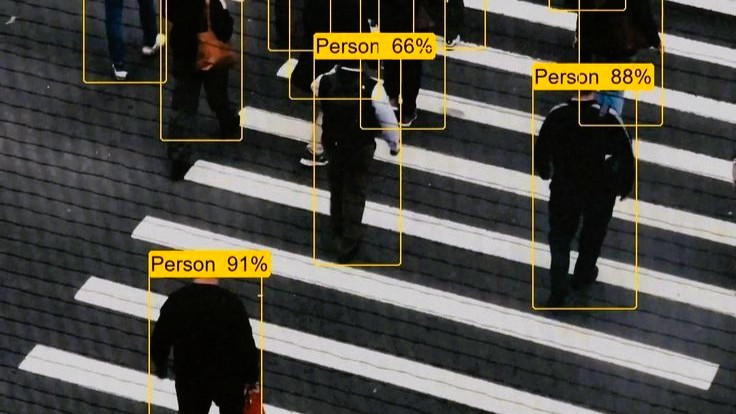 Computer vision e machine learning per il monitoraggio ambientale