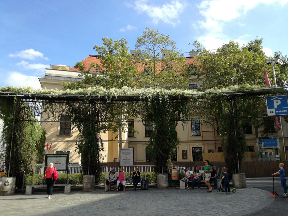 Vienna: ombreggiamento vegetato