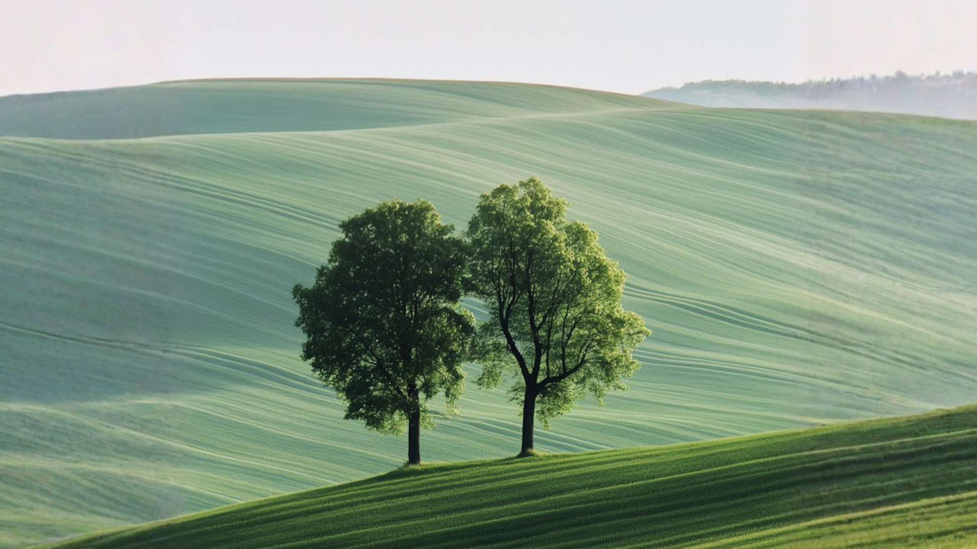 Giornata Mondiale del Clima 2026: dati e decisioni che non possiamo rimandare