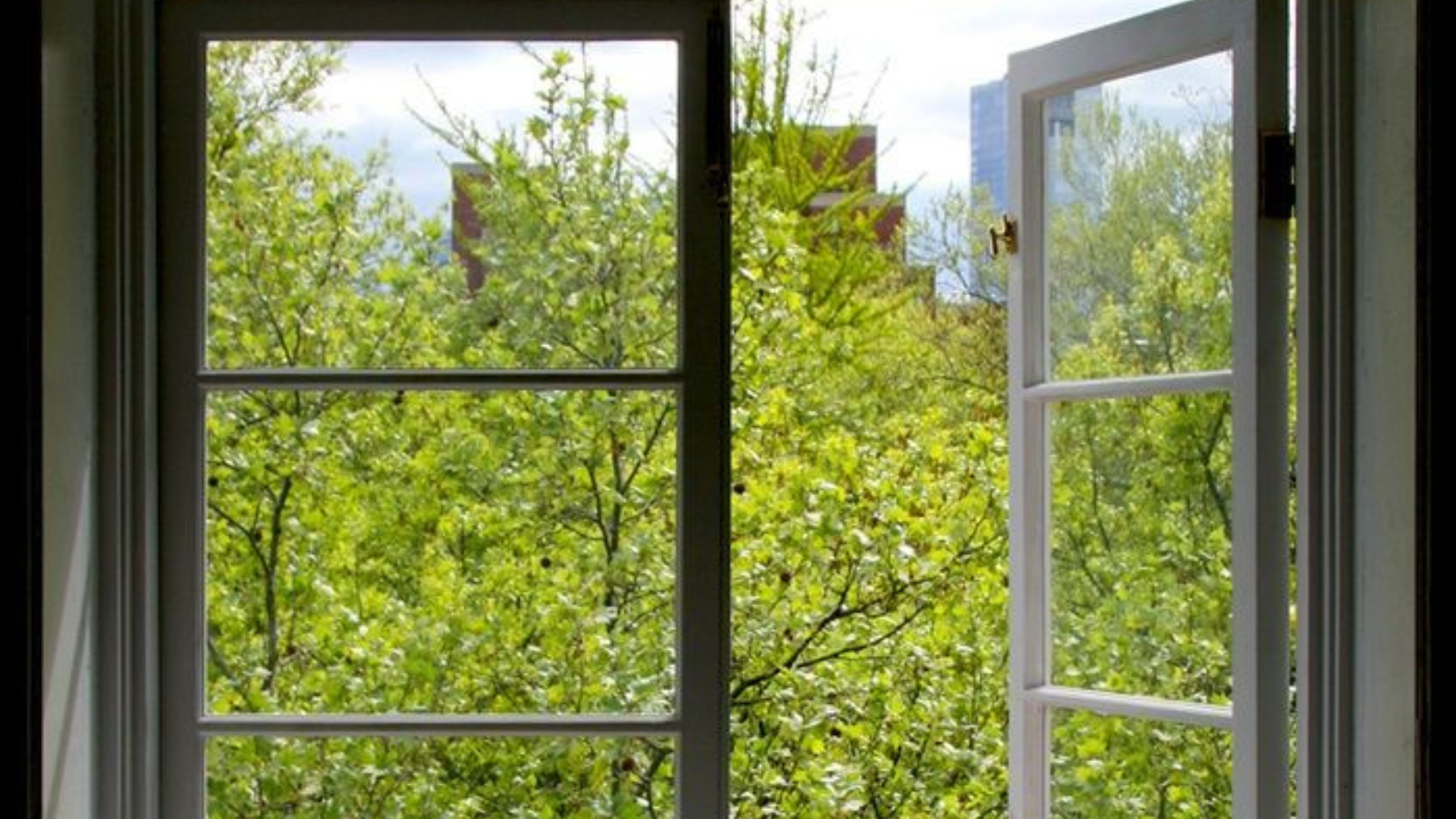 Qualità dell’aria indoor: a PM2026 presentiamo un anno di monitoraggio nella Bolognina
