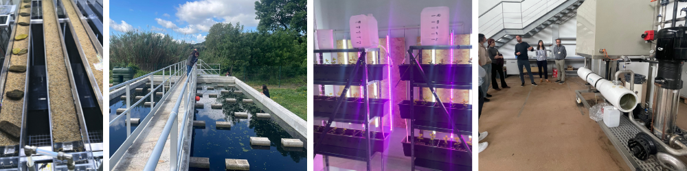 acqua in catalogna collage 2