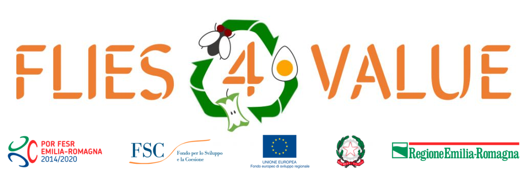 FLIES4VALUE (POR-FESR 2014-2020)