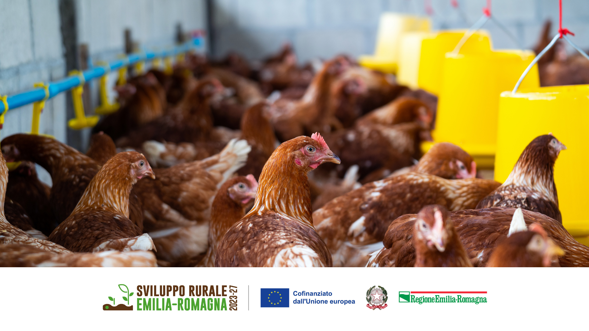 AviEcoTec (PSR 2023-2027)