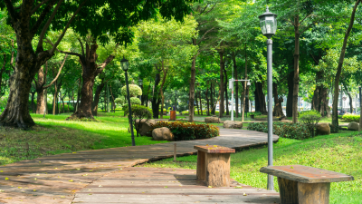 I benefici delle piante per mitigare il cambiamento climatico nelle nostre città