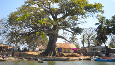 NATURE-BASED SOLUTIONS: la natura può aiutarci a difenderci dal cambiamento climatico?
