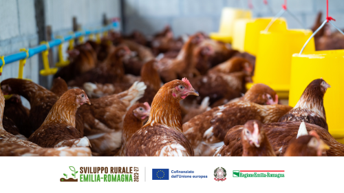 AviEcoTec (PSR 2023-2027)