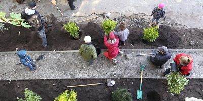 Webinar LIBERARE IL SUOLO - Criteri e linee guida per la resilienza urbana negli interventi di rigenerazione