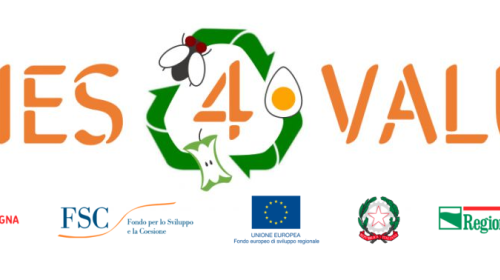 FLIES4VALUE (POR-FESR 2014-2020)