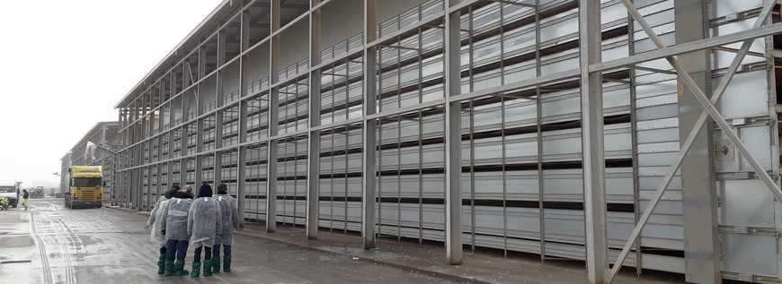 Misura delle emissioni in un allevamento di galline ovaiole