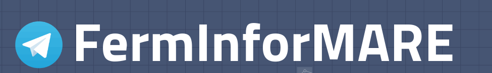 FERMINFORMARE: INFORMARE project got his A-level